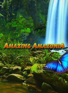 Amazing Amazonia
