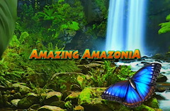 Amazing Amazonia