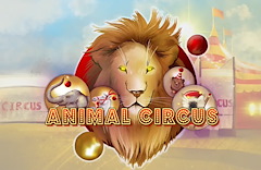 Animal Circus