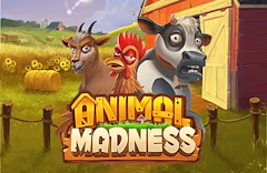 Animal Madness