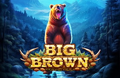 Big Brown
