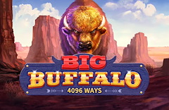 Big Buffalo