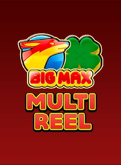 Big Max Multi Reel