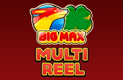 Big Max Multi Reel