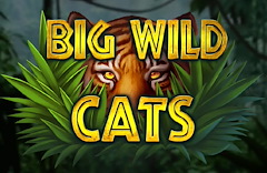 Big Wild Cats