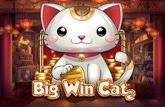 Big Win Cat