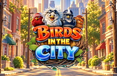 Birds in the City