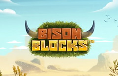 Bison Blocks