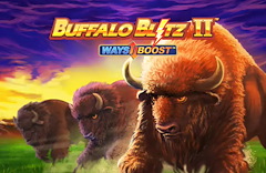 Buffalo Blitz 2