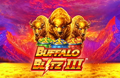Buffalo Blitz III