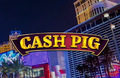 Cash Pig