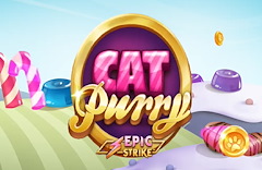 Cat Purry