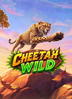 Cheetah Wild