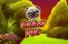 Crazy Pug