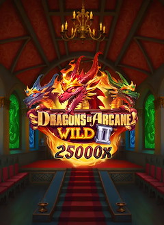 Dragons of Arcane Wild 2