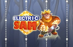 Electric Sam