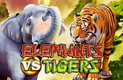 Elephants vs Tigers