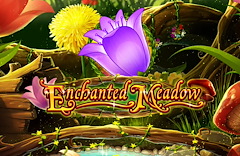 Enchanted Meadow