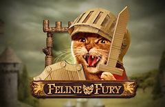 Feline Fury