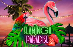 Flamingo Paradise