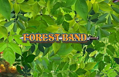 Forest Band