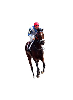 Instant Horses