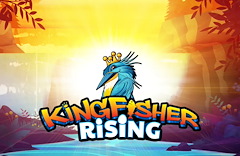 Kingfisher Rising