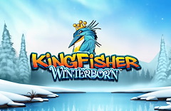 Kingfisher Winterborn