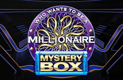 Millionaire Mystery Box
