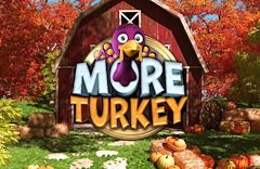 More Turkey