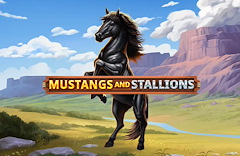 Mustangs And Stallions