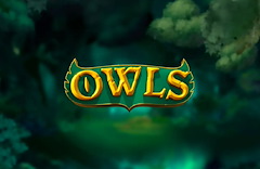 Owls