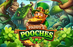 Paddy's Pooches