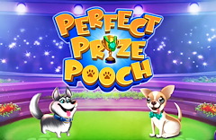 Perfect Prize Pooch