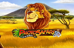 Photo Safari