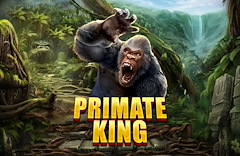 Primate King