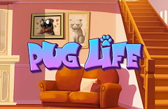 Pug Life