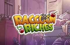 Raccoon Riches