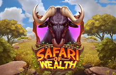 Safari of Wealth