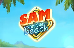 Sam on the beach