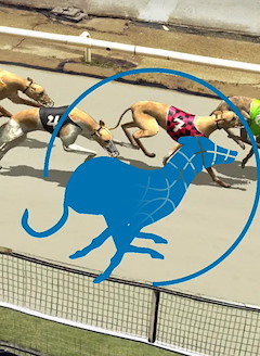 Dogs