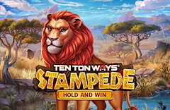 Ten Ton Ways Stampede
