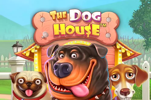 The Dog House