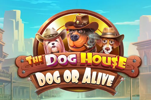 The Dog House – Dog or Alive