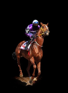 Horse Races