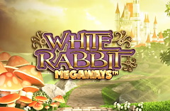 White Rabbit