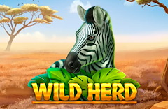 Wild Herd