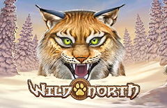 Wild North