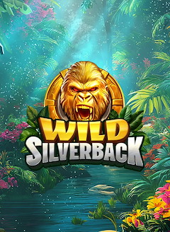 Wild Silverback