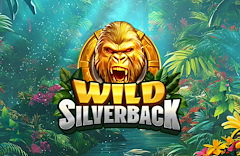 Wild Silverback